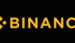 Binance Logo (Exchange)