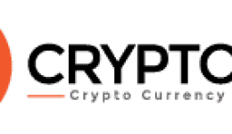 Logo Crypto500