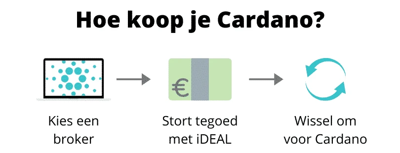 Hoe Cardano kopen infographic