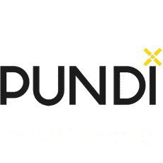 Pundi X (NPXS) Logo