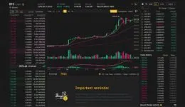 Binance Margin Handel