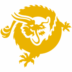 Bitcoin SV (BSV) Logo