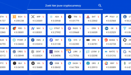 Litebit overzicht munten