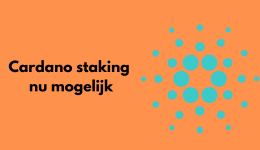 Cardano staking
