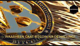 Waarheen gaat Bitcoin na de halving?