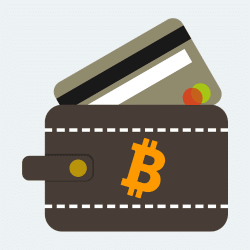 Special wallet for cryptocurrencies