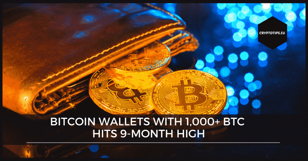 Bitcoin Wallets with 1,000+ BTC Hits 9-Month High