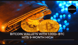 Bitcoin Wallets with 1,000+ BTC Hits 9-Month High