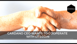 Cardano CEO wants to cooperate with Litecoin