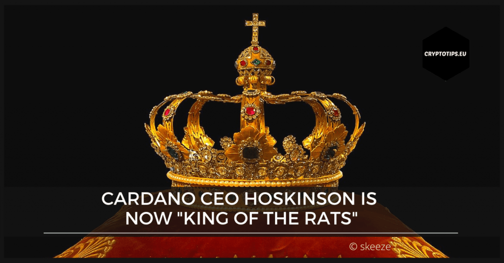 Cardano CEO Hoskinson is now "King of the Rats"