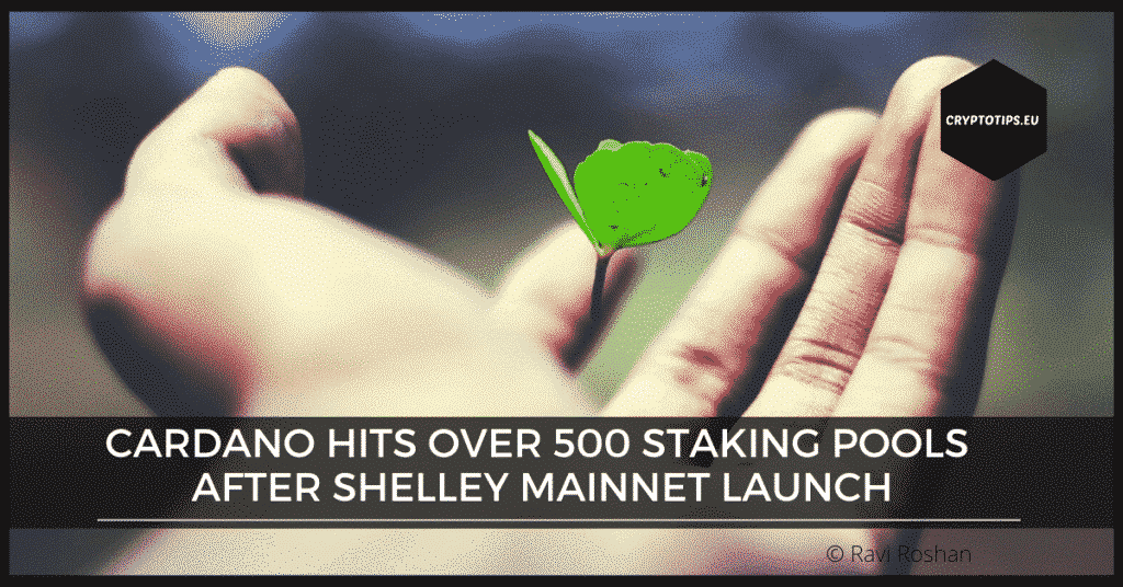 Cardano hits over 500 staking pools after Shelley mainnet launch