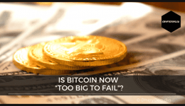Is Bitcoin now "too big to fail"?