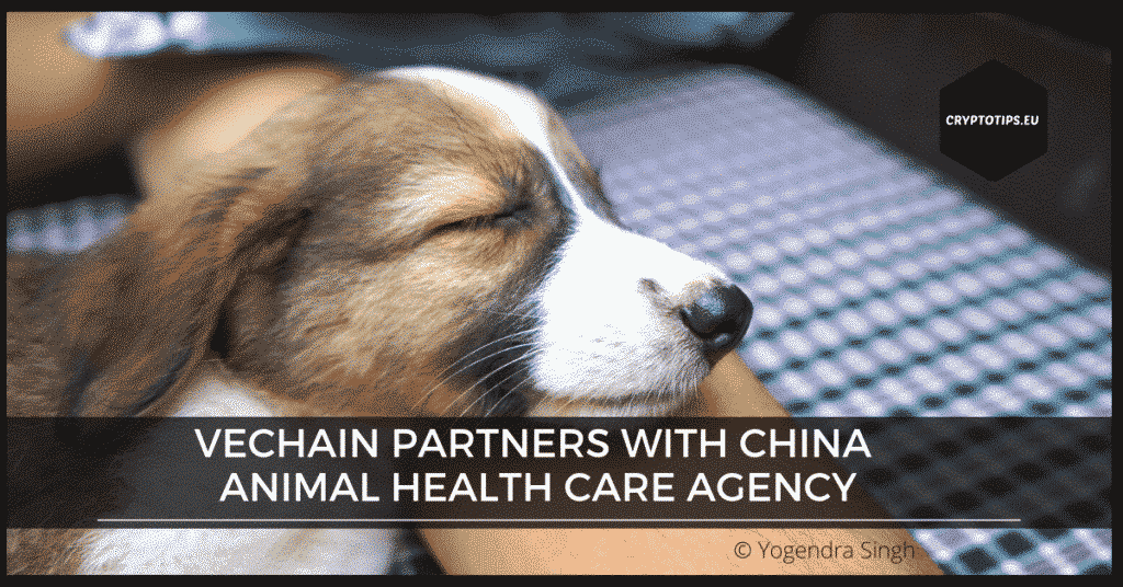 VeChain partners with China Animal Health care agency
