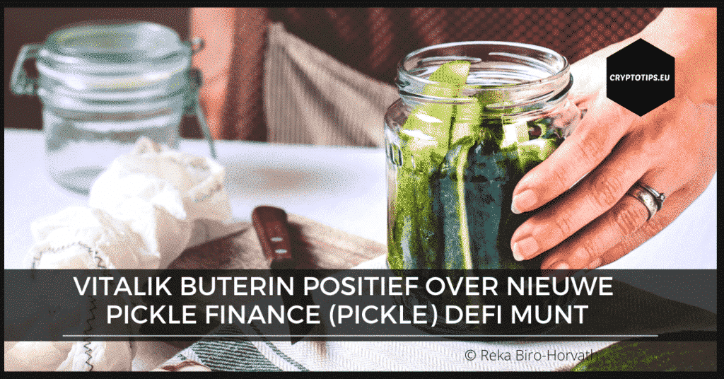 Vitalik Buterin positief over nieuwe Pickle Finance (PICKLE) DeFi munt