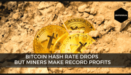 Bitcoin hash rate drops but miners make record profits