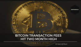 Bitcoin transaction fees hit two month high