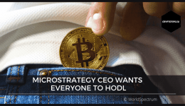 MicroStrategy CEO Wants Everyone To HODL