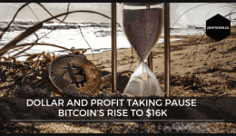 Dollar And Profit Taking Pause Bitcoin’s Rise To $16k