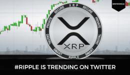 Ripple Trending among Biden and Trump as Online Interest Grows
