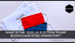 What is the "2020 US Election Trump Blockchain Sting Operation"?