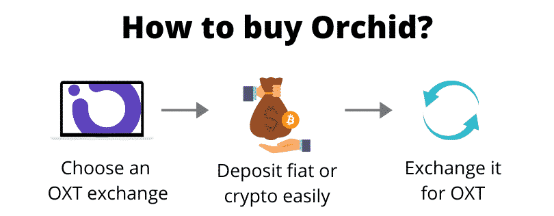 How to buy Orchid (step by step)