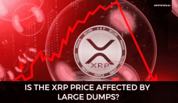 Is the XRP Price Impacted by Stellar Founder Deal?