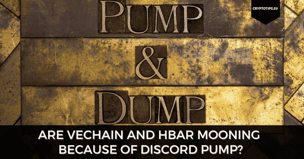Are VeChain And Hedera Hashgraph Mooning Because Of Discord Pump?