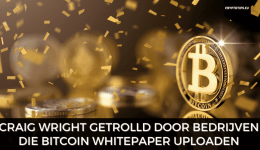 Craig Wright getrolld door bedrijven die Bitcoin Whitepaper uploaden