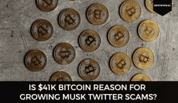 Is $41k Bitcoin Reason For Growing Musk Twitter Scams?