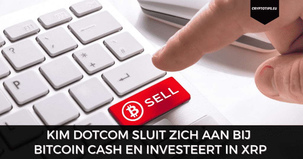 Kim Dotcom sluit zich aan bij team Bitcoin Cash en investeert in XRP