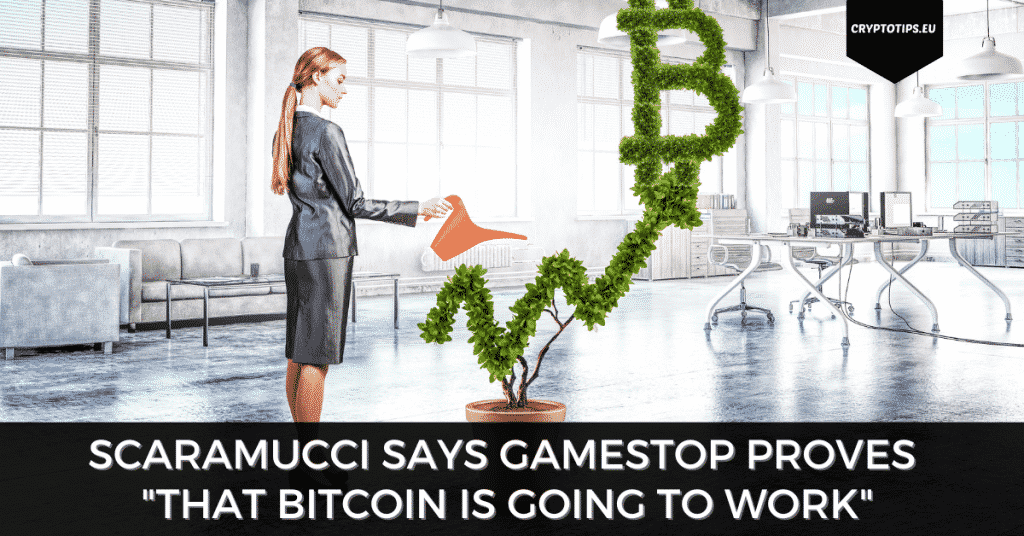 Scaramucci Says GameStop Proves "That Bitcoin Is Going To Work"