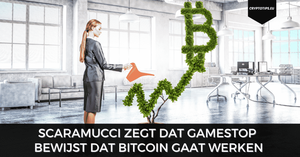 Scaramucci zegt dat GameStop bewijst dat Bitcoin gaat werken
