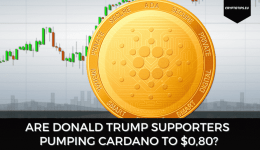 Are Donald Trump Supporters Pumping Cardano To $0,80?