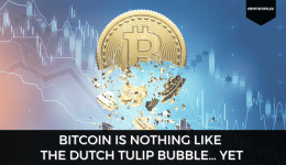 Bitcoin Is Nothing Like The Dutch Tulip Bubble