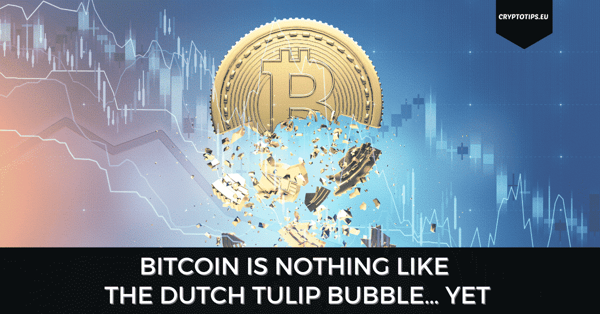 dutch tulip bubble vs bitcoin