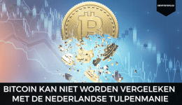 Bitcoin kan niet worden vergeleken met de Nederlandse Tulpenmanie