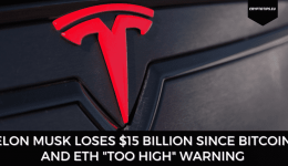 Elon Musk Loses $15 Billion Since Bitcoin And ETH "Too High" Warning