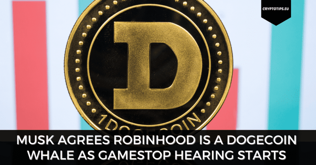 Musk Agrees Robinhood Is A Dogecoin Whale As Gamestop Hearing Starts