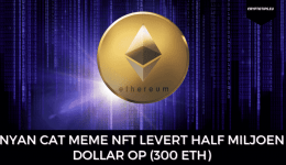 Nyan Cat meme NFT levert half miljoen dollar op (300 ETH)