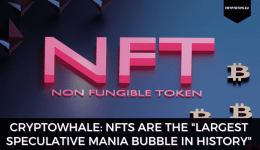 CryptoWhale: NFTs Are The "Largest Speculative Mania Bubble in History"