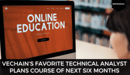 VeChain’s Favorite Technical Analyst Plans Course Of Next Six Months