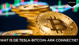 Wat is de Tesla-Bitcoin-ARK connectie?
