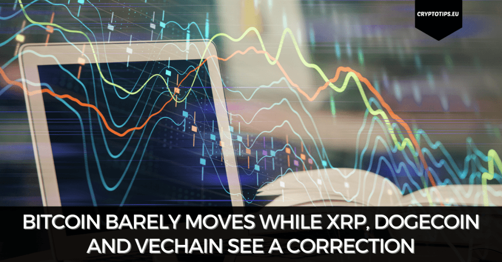 Bitcoin Barely Moves While Xrp Dogecoin And Vechain See A Correction