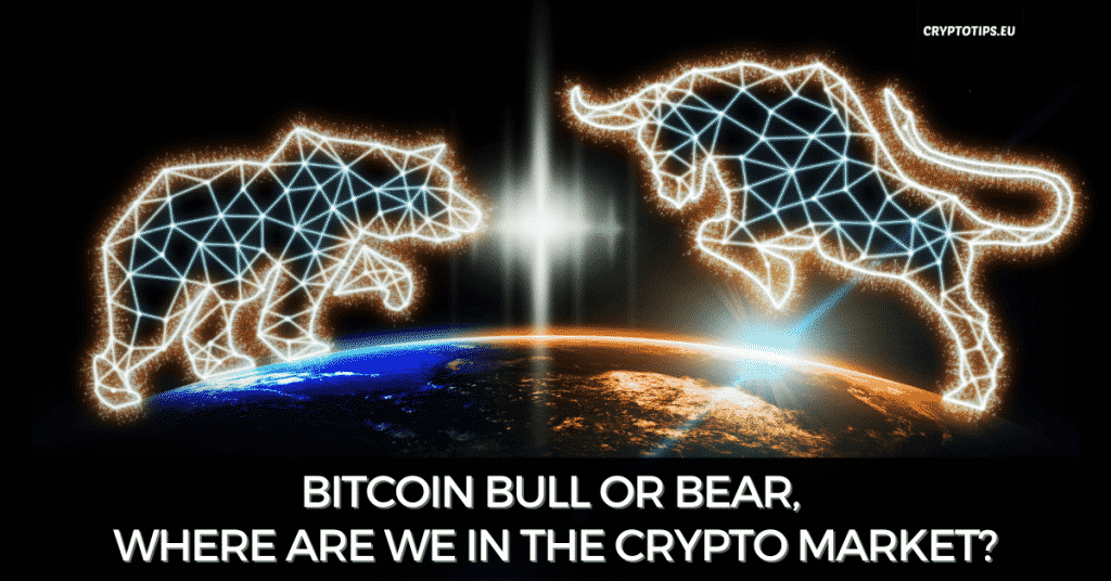 bitcoin bull or bear