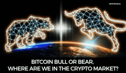 Bitcoin Bull Or Bear, Where Are We In The Crypto Market?