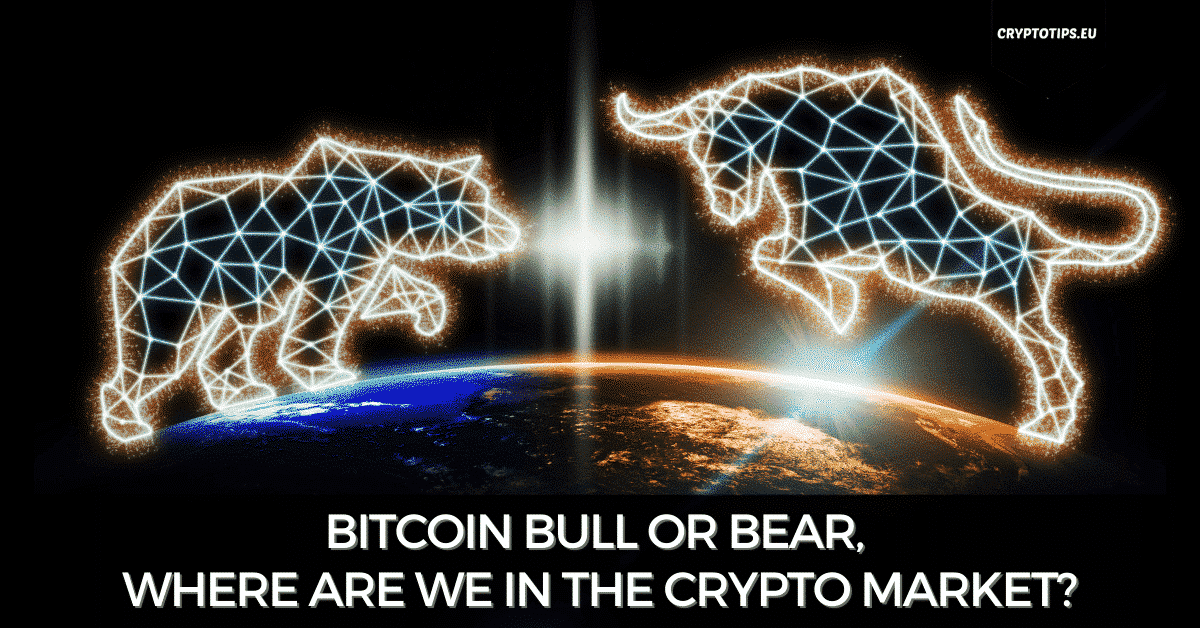 Bitcoin Bull Or Bear, Where Are We In The Crypto Market?