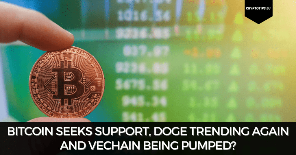 Bitcoin Seeks Support, Doge Trending Again And VeChain Being Pumped?