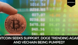 Bitcoin Seeks Support, Doge Trending Again And VeChain Being Pumped?