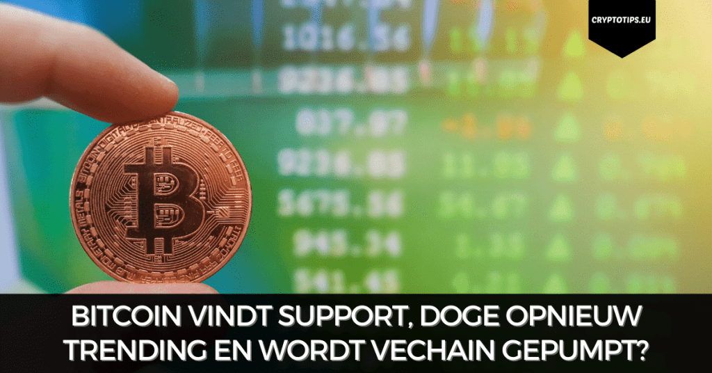 Bitcoin vindt support, DOGE opnieuw trending en wordt VeChain gepumpt?