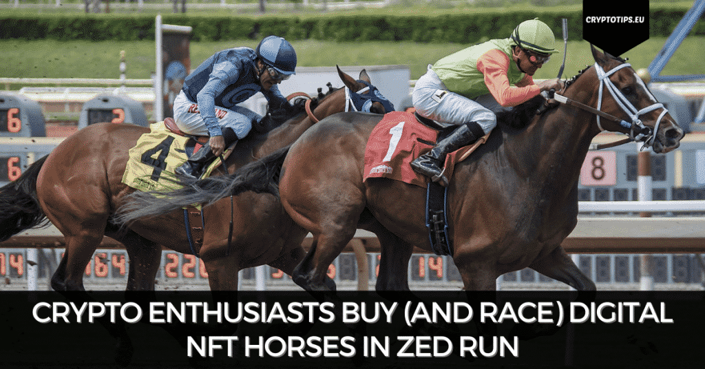 Crypto Enthusiasts Buy (And Race) Digital NFT Horses In Zed Run